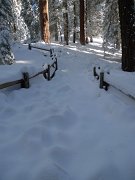 Christmas2010 231